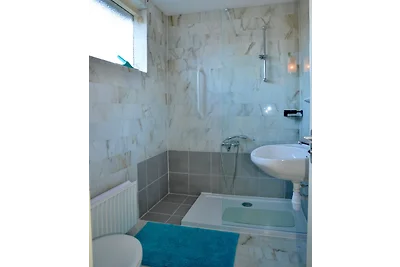 Ferienhaus Woonplezier
