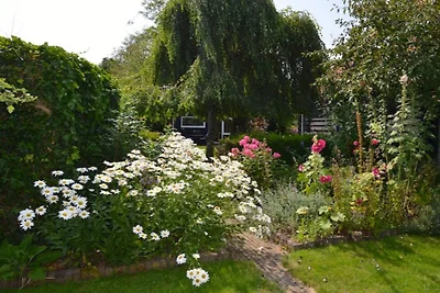Casa vacanza Polderzicht