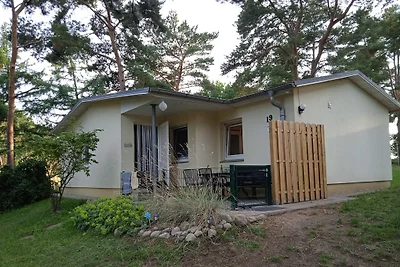 Ferienhaus Schmetterling