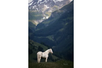 Walpurga