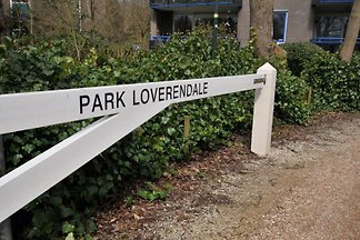 Parque Loverendale 2