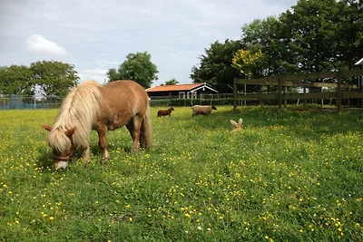 Ferienhaus Grijpskerkseweg 3 Hinter
