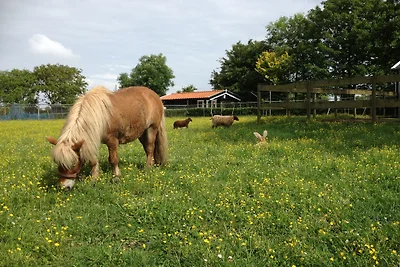 Ferienhaus Grijpskerkseweg 3 Vorder