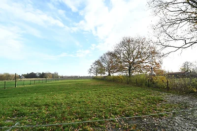 Ferienhaus Grijpskerkseweg 3 Vorder