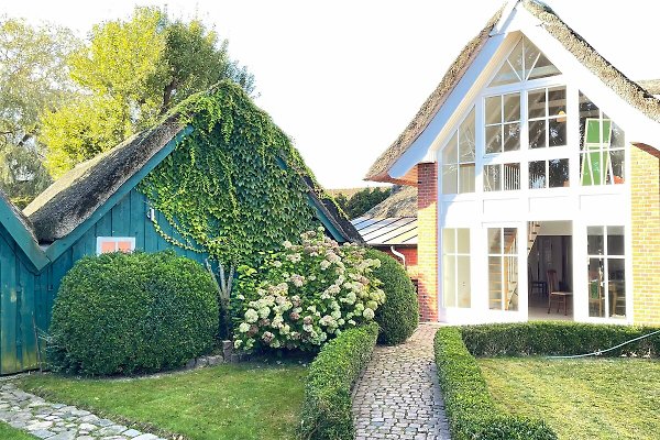 Ferienhaus Riepsdorf