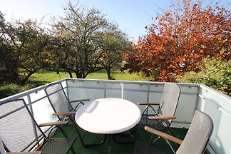 Ferienhauser Ferienwohnungen In Kellenhusen Mieten