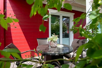 9150 Seehund 1 Süssau