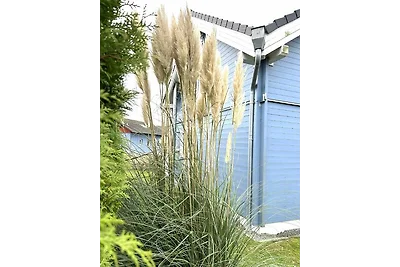 9160 Seerose 9 Süssau