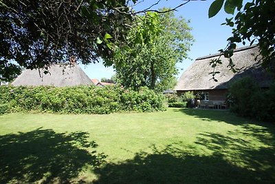 Vakantiehuis Ontspannende vakantie Riepsdorf