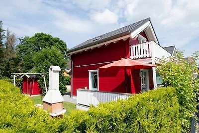 9150 Seehund 1 Süssau