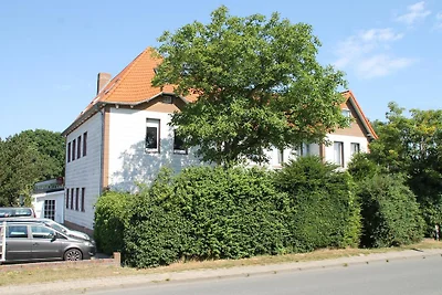5092 - Blaubär