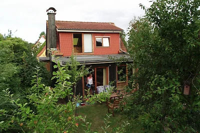 5084 - AneXe