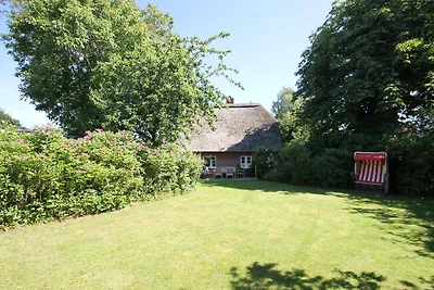 Casa vacanze Vacanza di relax Riepsdorf