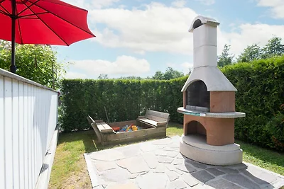 9150 Seehund 1 Süssau