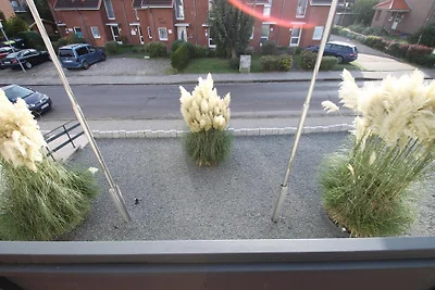 Vakantieappartement Gezinsvakantie Dahme