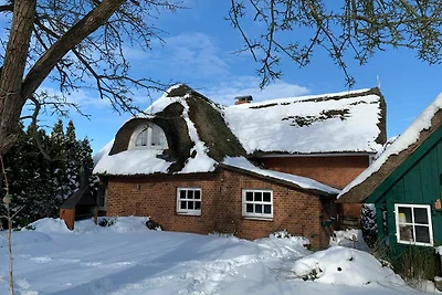 Vakantiehuis Ontspannende vakantie Riepsdorf