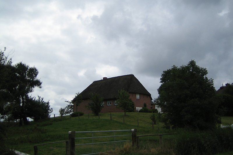 Frisian house