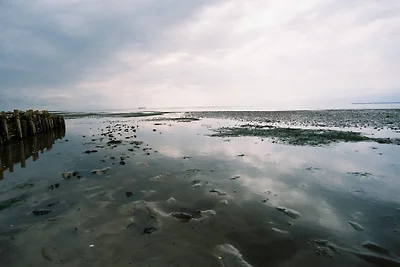 Ferienwohnung am Meer, Whg. Gröde