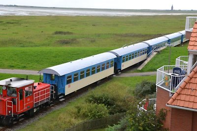 Lagune aan de Waddenzee op Wangerooge