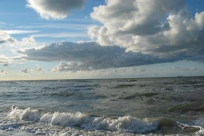 Hamburger Hallig, Huis Halligblick