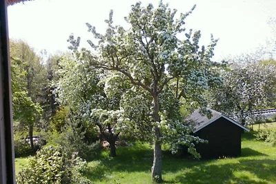 Casa frisona sul mare