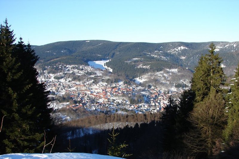 Blick vom Rimbachbrunnen auf Goldlauter Heidersbach im Winter