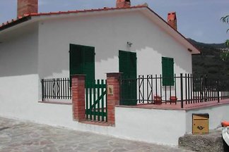 Casa Wisa