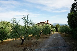 privates Ferienhaus mit Pool