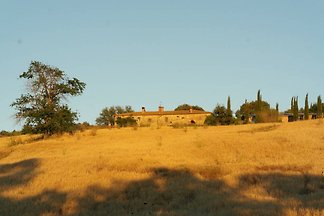 agricola biologica con 4 appartamenti