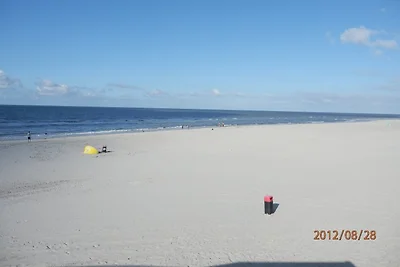Cabin in Amelander Paradijs