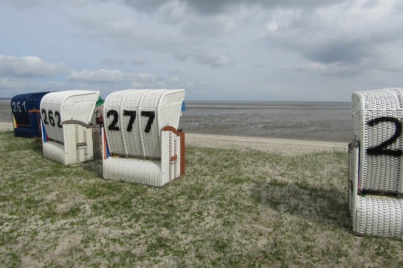 277..La tua sedia a sdraio sulla spiaggia..