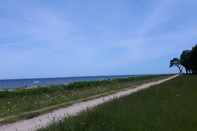 Strandhus Kronsgaard