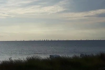 Strandhus Kronsgaard