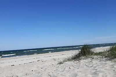 Strandhus Kronsgaard