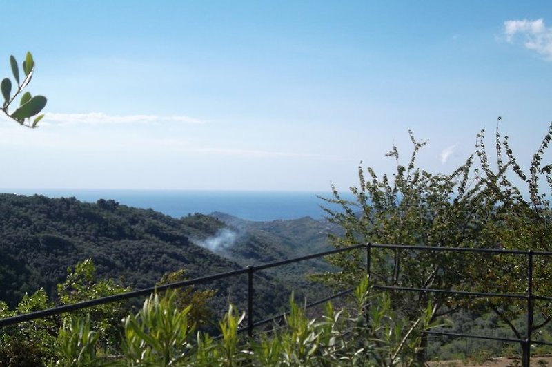 Der Blick vom Garten über die hiesigen Olivenkulturen hinweg bis zum Mittelmeer. 