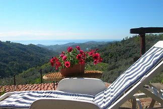 Casa Canonica: casa in pietra ristrutturato