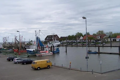 Ferienhaus in Eckwarden - Seestrand