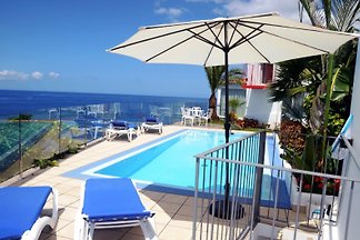 Villa Strelitzia Negra