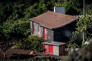 Casa Volcano Preto