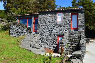 Vakantiehuis Ontspannende vakantie Pico