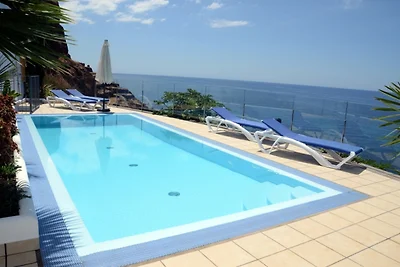 Villa Strelitzia Negra