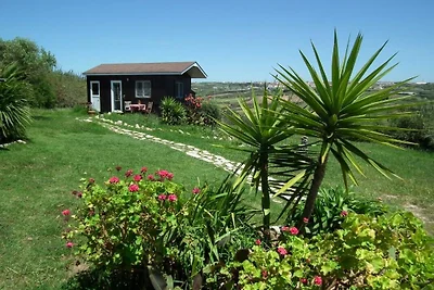 Tiny House Jorgina