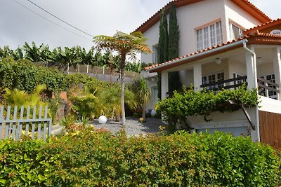 Villa Araucaria