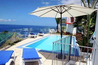 Villa Strelitzia Negra