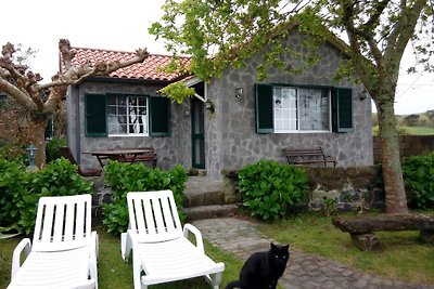 Casa Concha