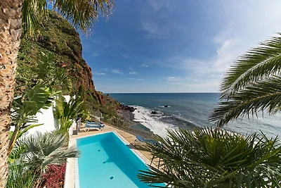 Villa Strelitzia Negra
