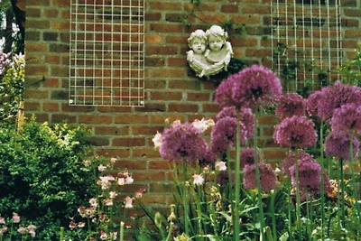 Casa Avalon "il Nordico" ***