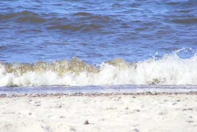 Delta Mare | Ferienhäuser | Ostsee