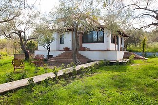 Villa La Calzata