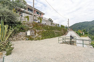 Villa Pia z basenem Recco, Camogli